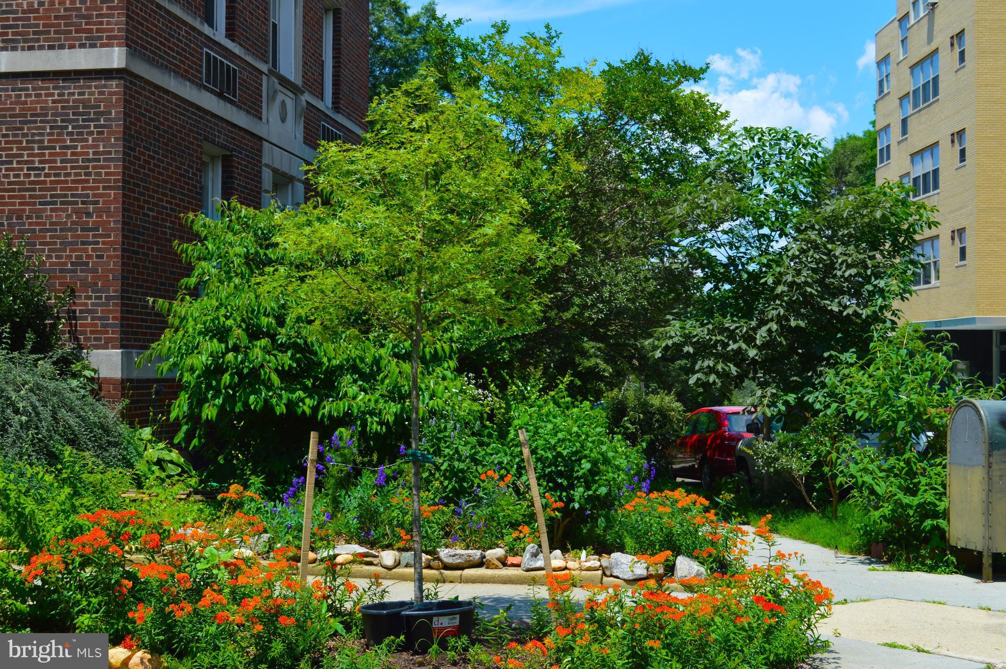 3025 Ontario Road Northwest, Unit 105 Washington, DC 20009 - Photo 25 of 26 a view of a garden with flowers