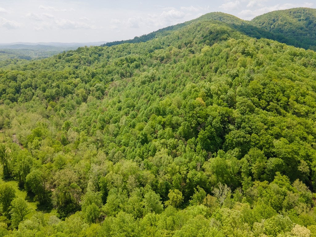56-acres Runnett Bag Road Ferrum, VA 24088 - Photo 40 of 44 Gallery Image 40