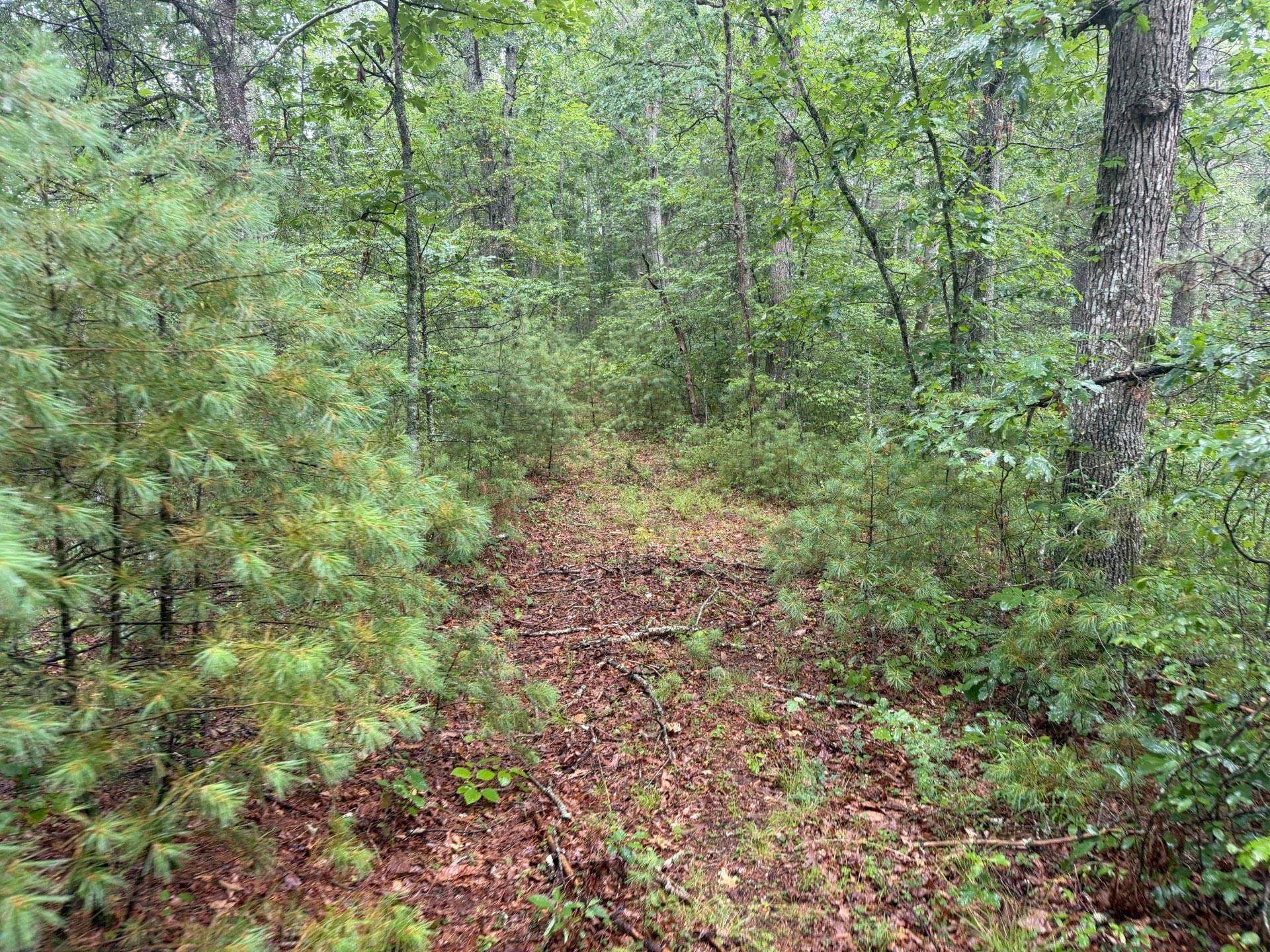 Tbd Short Ridge Drive Bland, VA 24315 - Photo 51 of 125 Gallery Image 51
