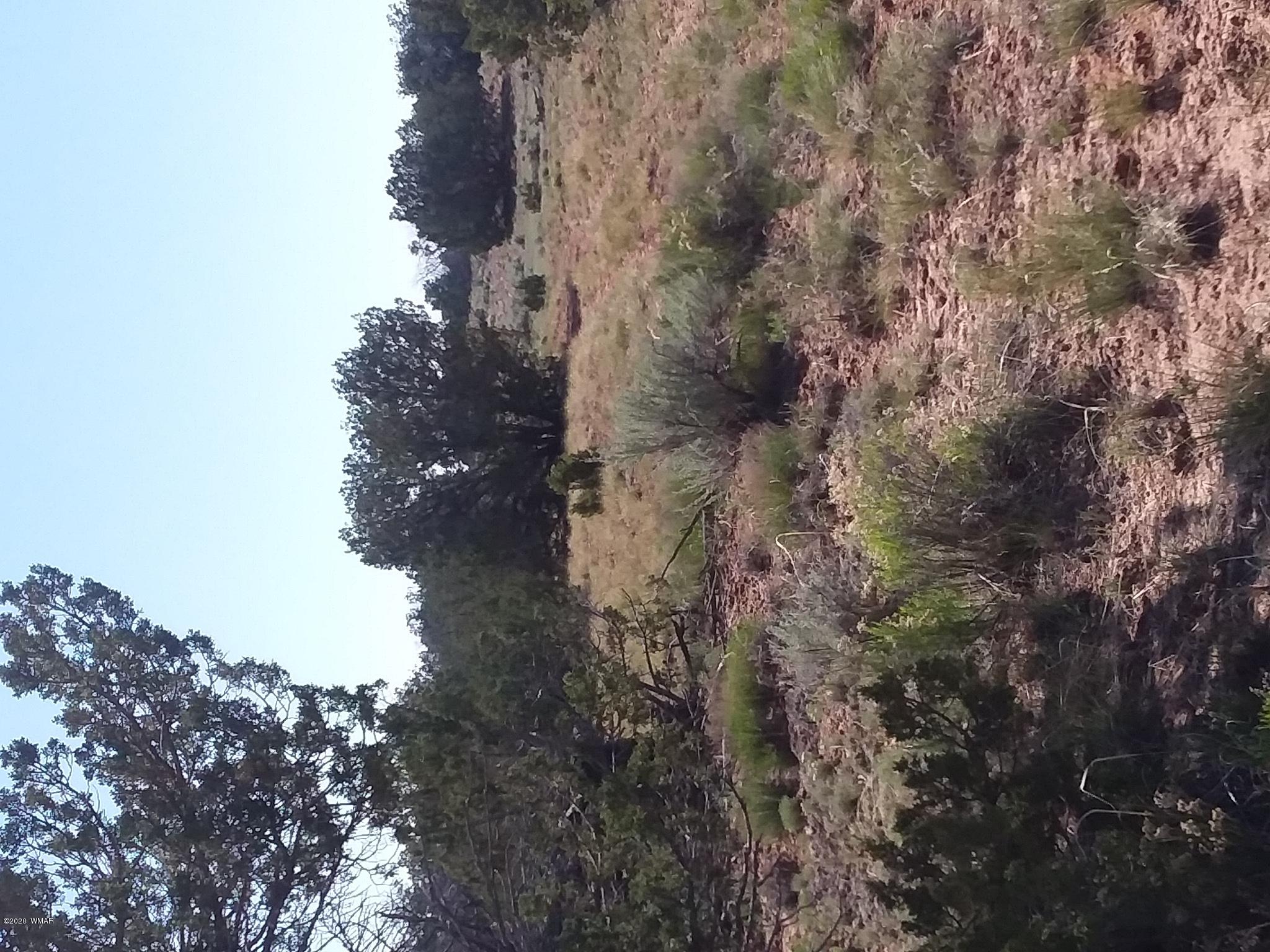 6 A Sec 29 T17n R27e St. Johns, AZ 85936 - Photo 1 of 4 a view of a dry field