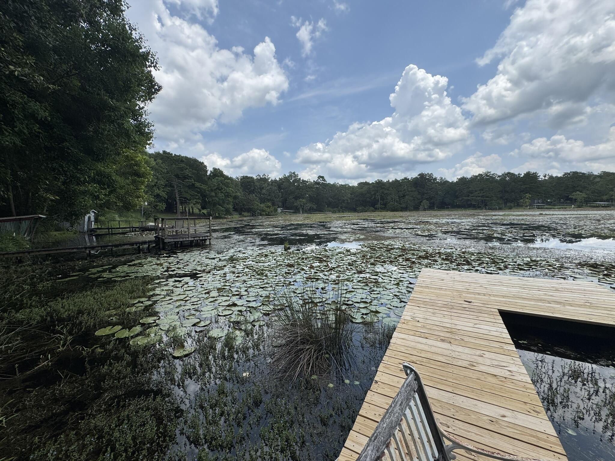 827 Squirrel Road DeFuniak Springs, FL 32433 - Photo 52 of 57 IMG_8834