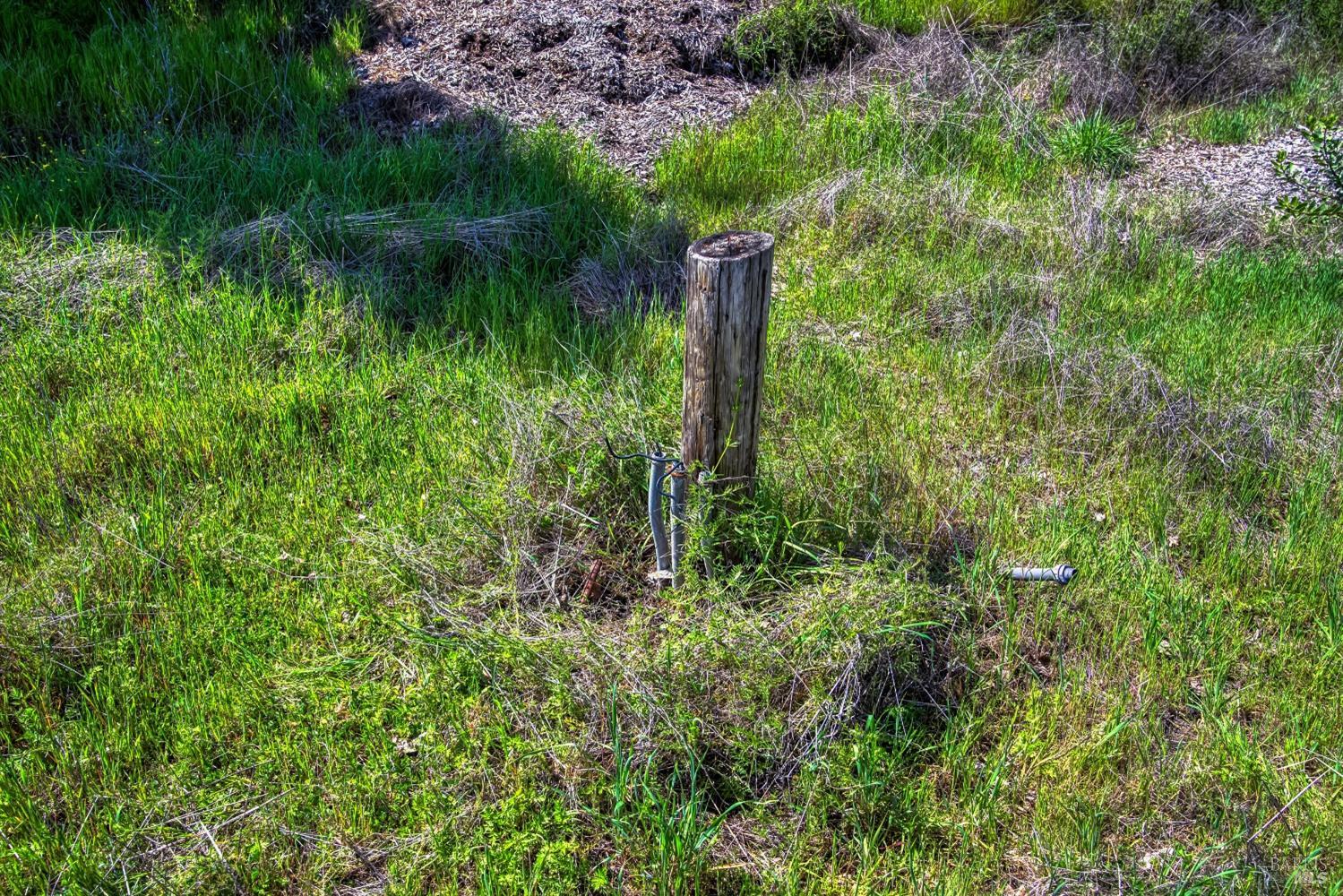 5801 Lake Ridge Road Ukiah, CA 95482 - Photo 13 of 21 a view of a garden