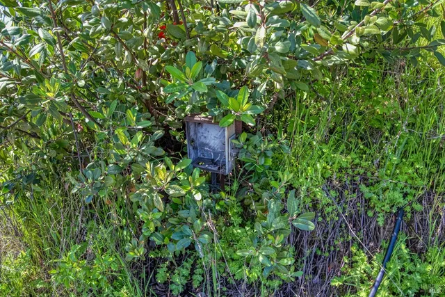 a view of a lake with mountain in the background