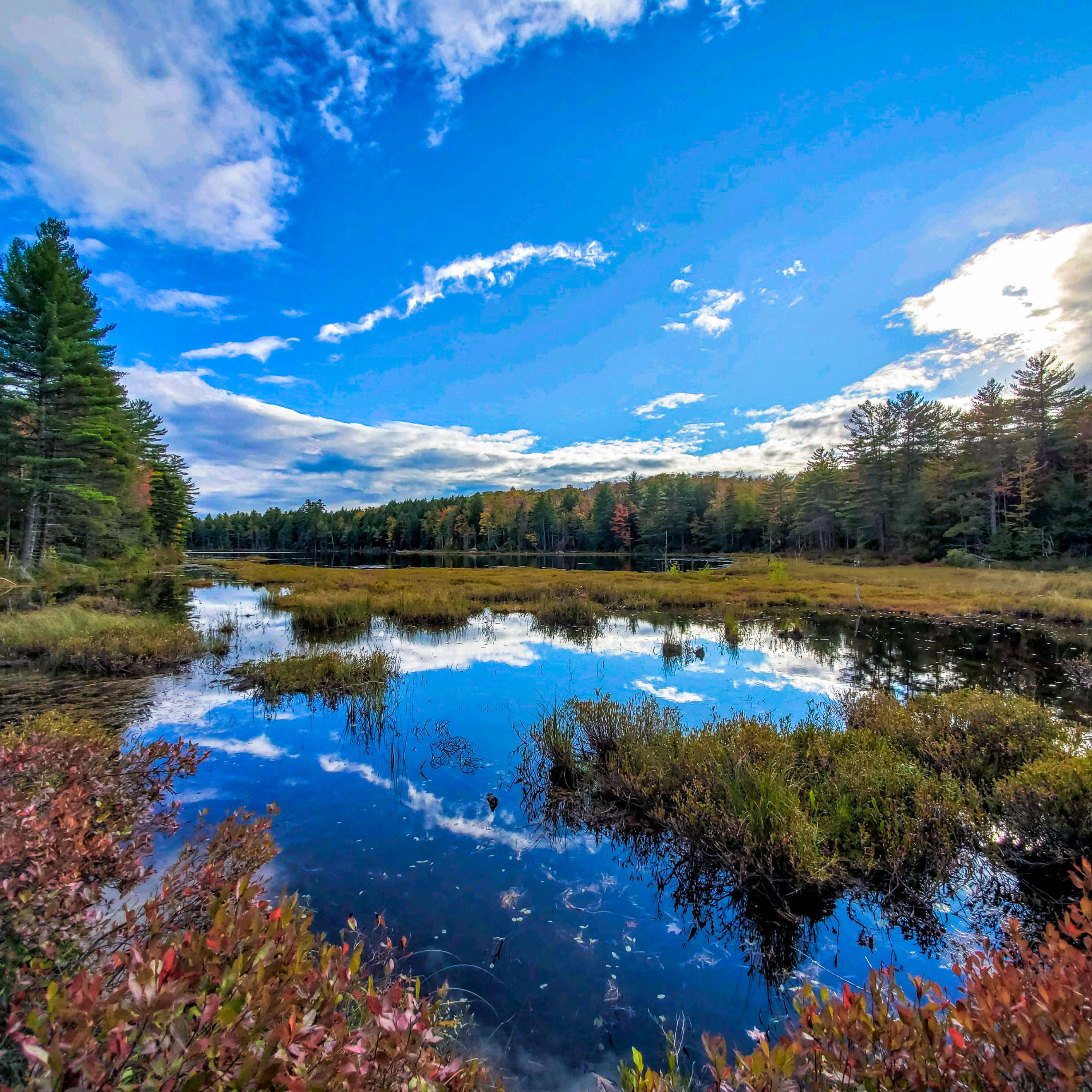 406 Ladd Road Mercer, ME 04957 - Photo 1 of 72 IMG_8066-2