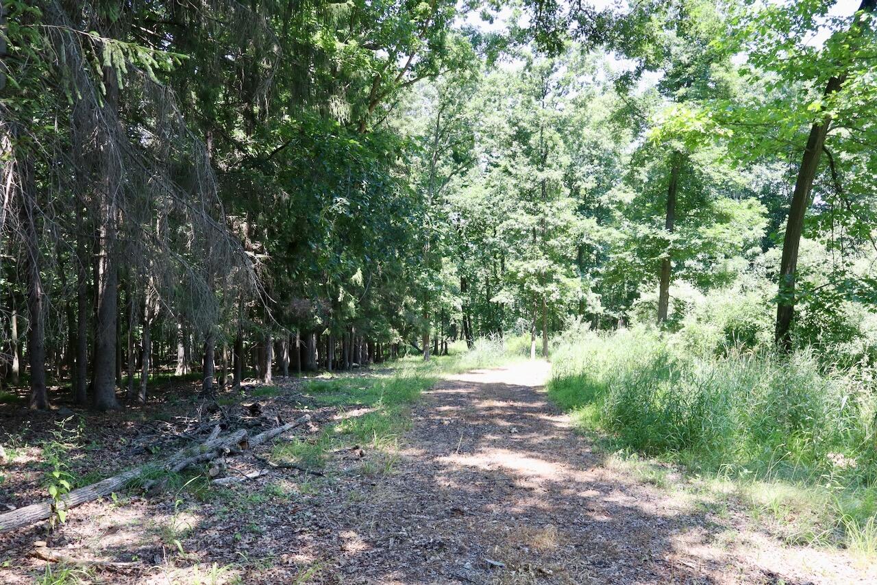 St-johns North Scott Road St. Johns, MI 48879 - Photo 29 of 41 024
