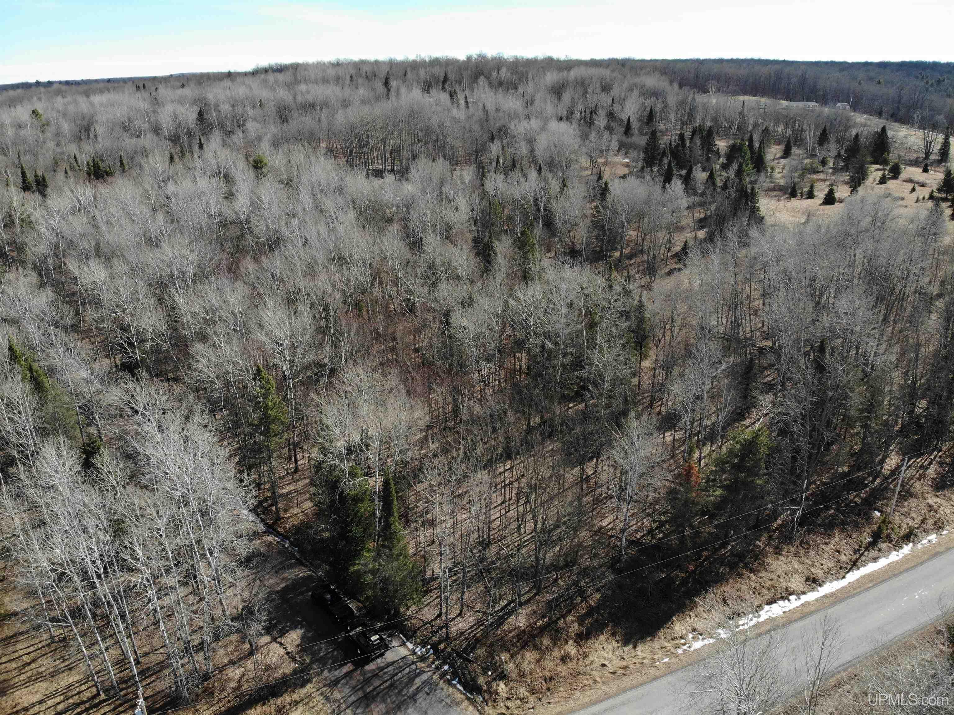 Tbd15 Tbd15 Borsch Road Sidnaw, MI 49961 - Photo 6 of 7