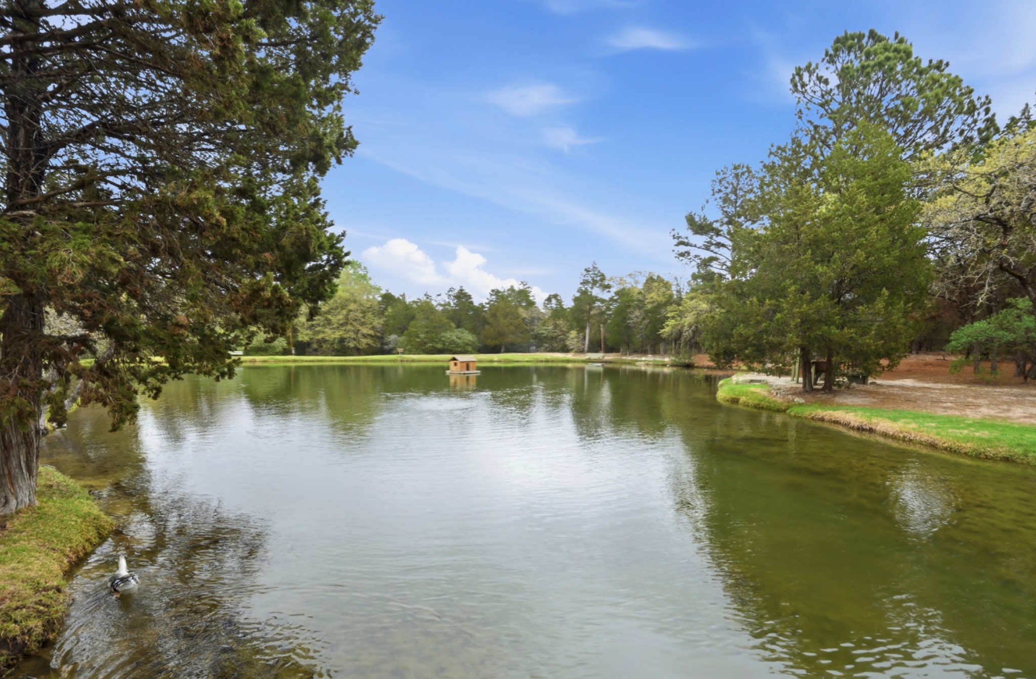202 Cedar Hills Drive Elgin, TX 78621 - Photo 36 of 37