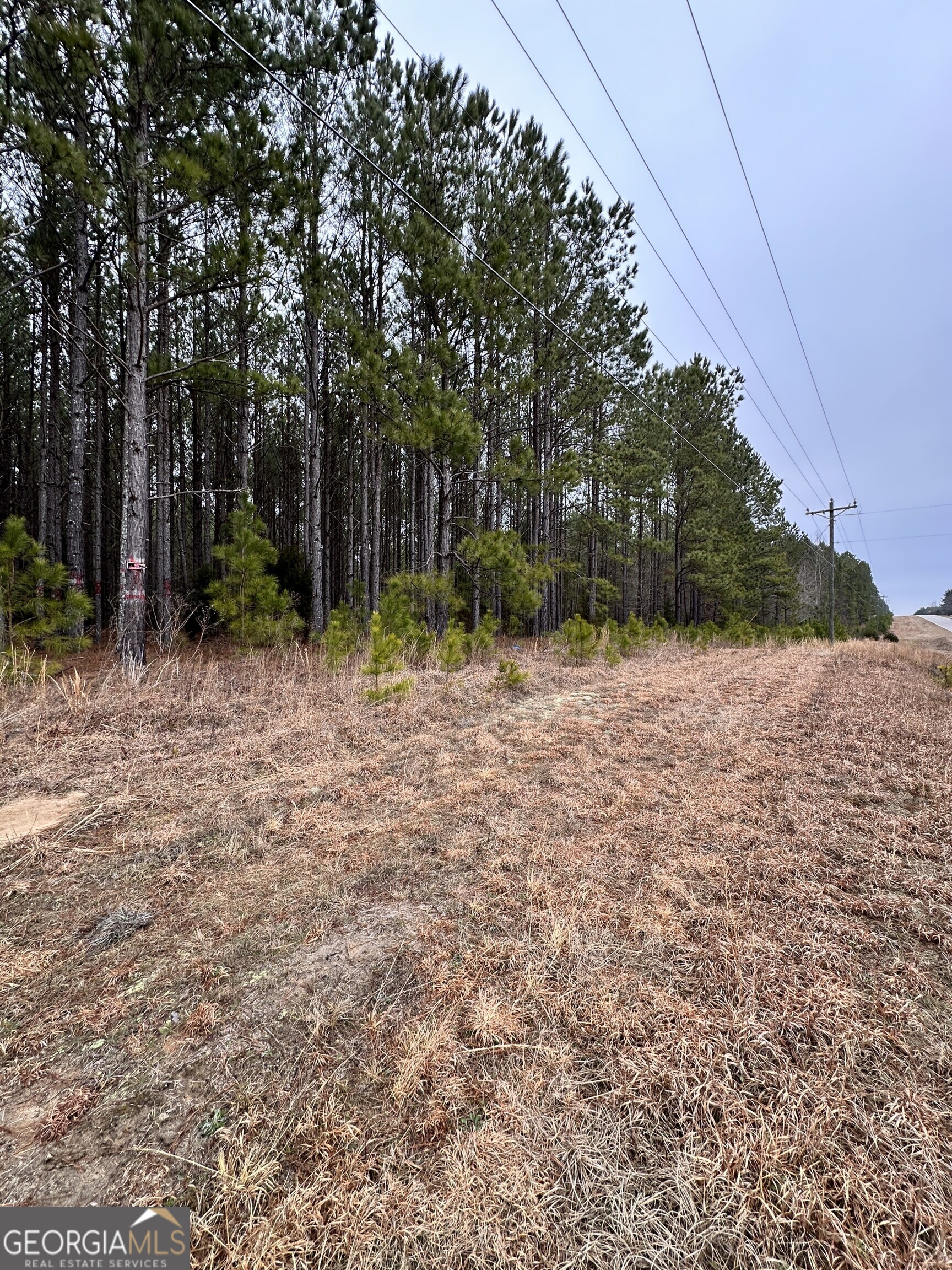1707 Elberton Road Lexington, GA 30648 - Photo 1 of 1 Gallery Image 1