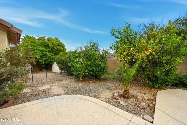 a view of a backyard