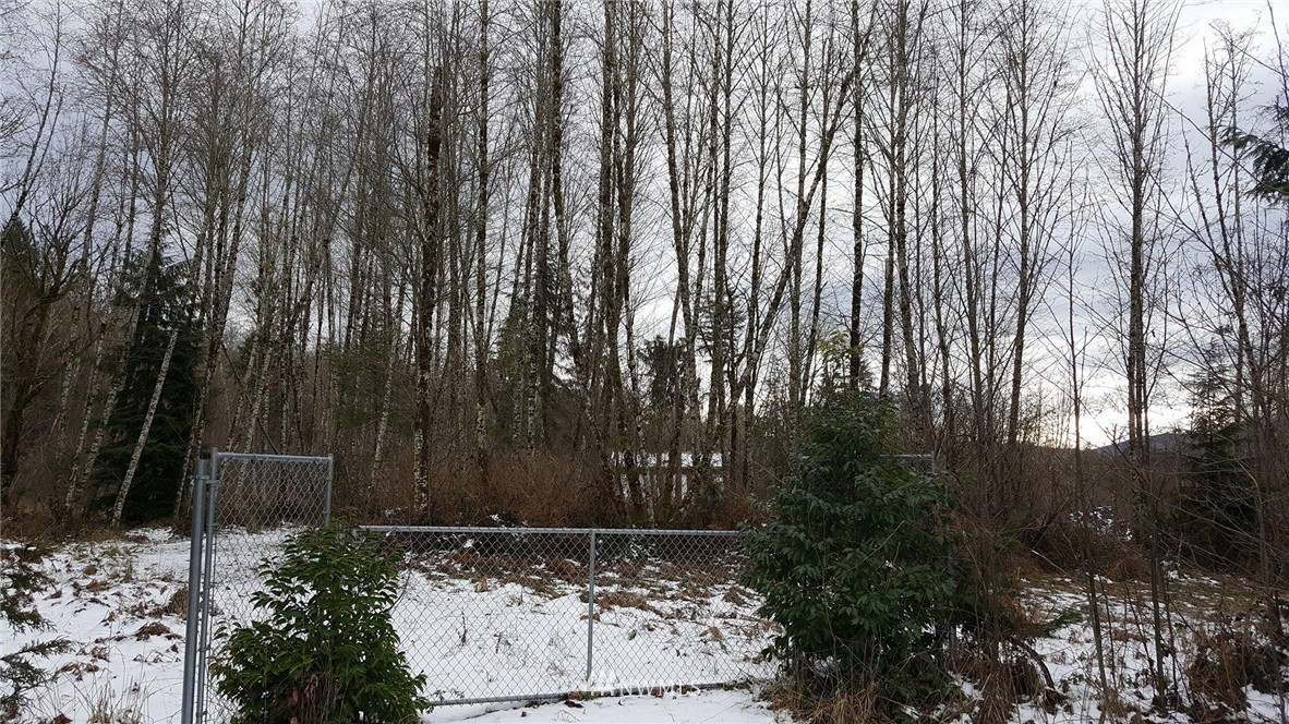 123 Hadaller Road Mossyrock, WA 98564 - Photo 1 of 1 Gallery Image 1