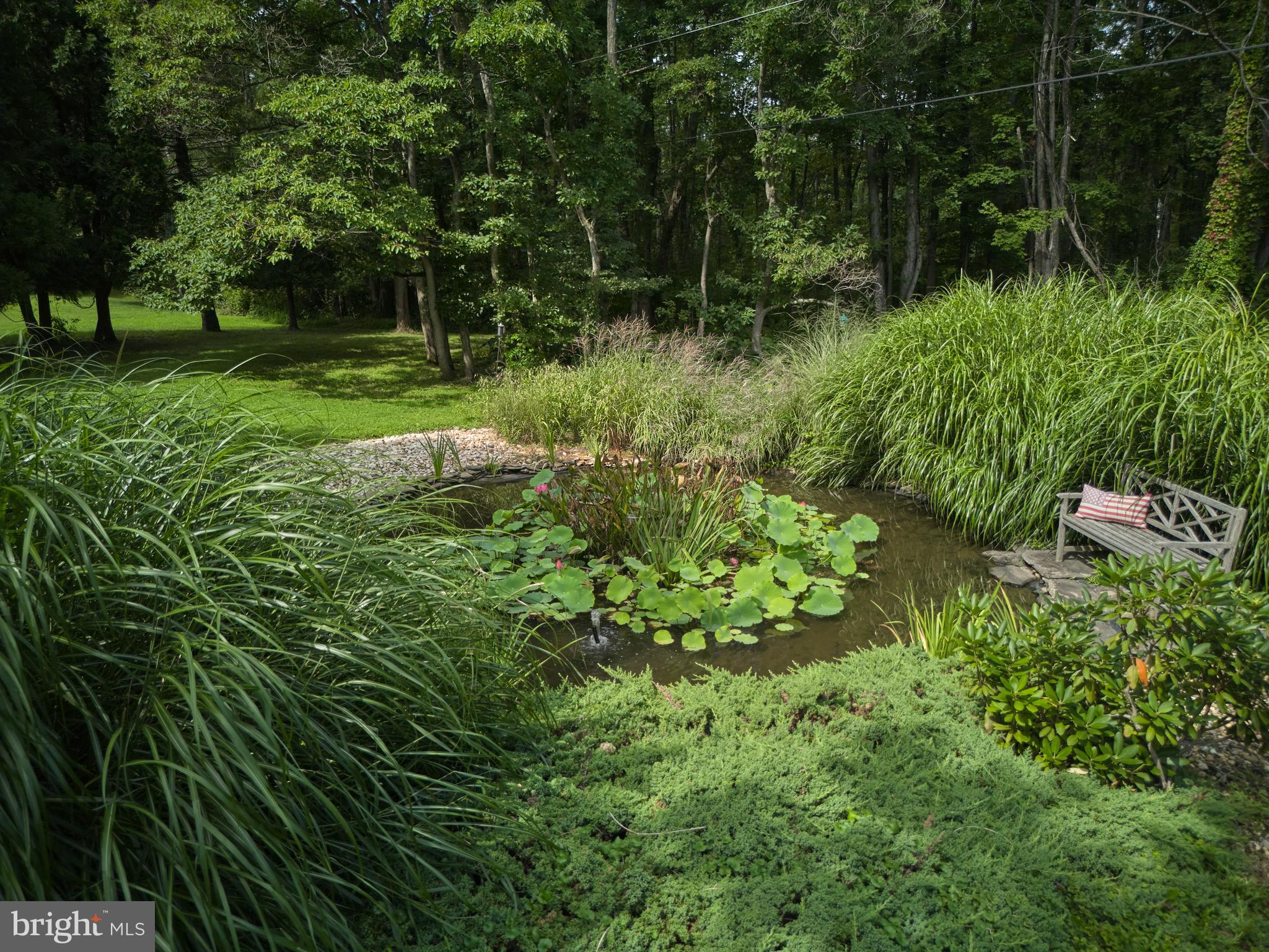 2125 Old Woods Road Green Lane, PA 18054 - Photo 46 of 53 a view of a lush green forest