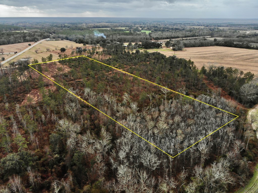 22-acres Donzell Road Cottonwood, AL 36320 - Photo 5 of 15