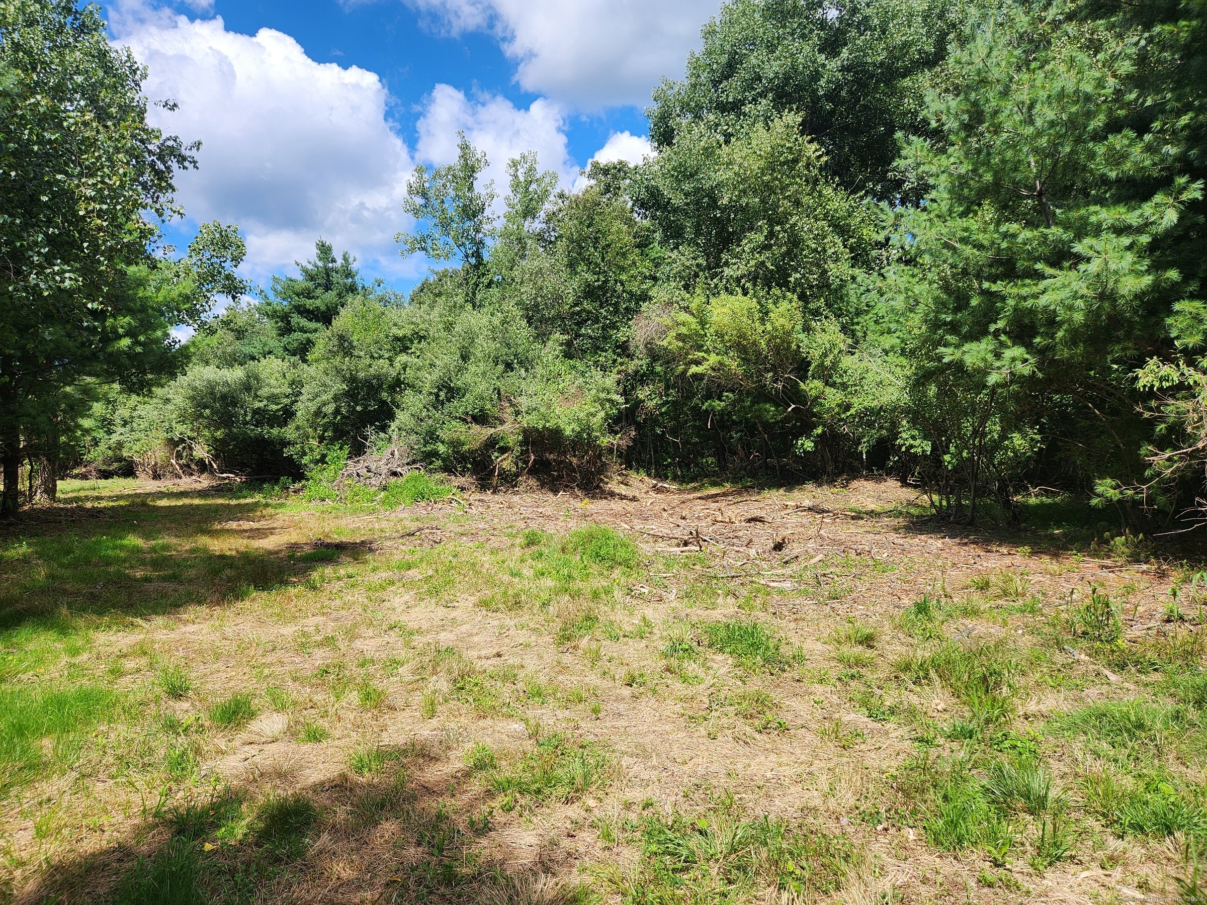 83 River Road Willington, CT 06279 - Photo 6 of 11 a view of yard with tree