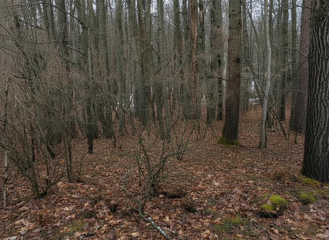 Lot # Squirrel Run Road Farwell, MI 48622 - Photo 10 of 16