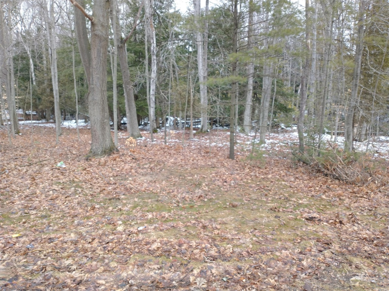 West Jagger Road Scottville, MI 49454 - Photo 1 of 5