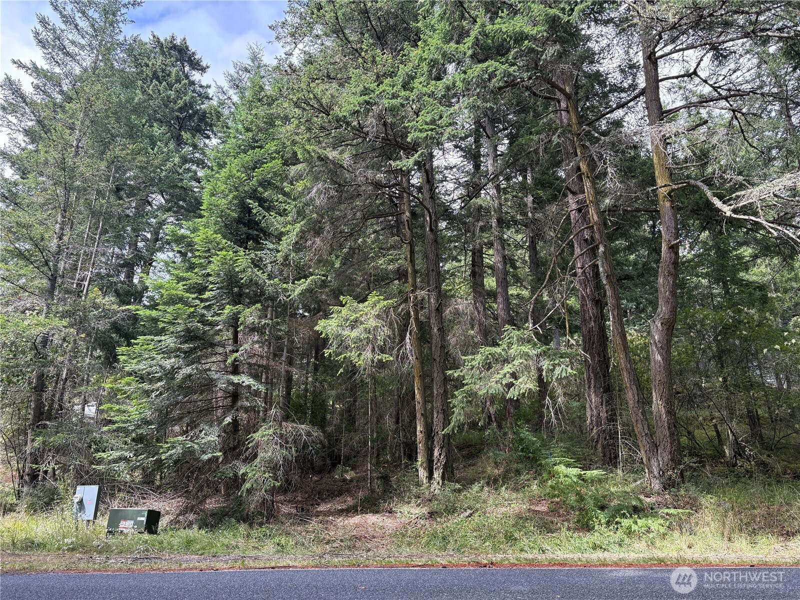 14 Rosario Road Orcas Island, WA 98245 - Photo 4 of 39