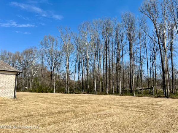 $471,900 | 2526 Scott Mdws Lane, Hernando, MS 38632