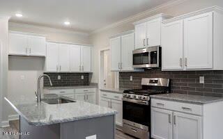 2526 Scott Mdws Lane Hernando, MS 38632 - Photo 8 of 28 Kitchen Close Up