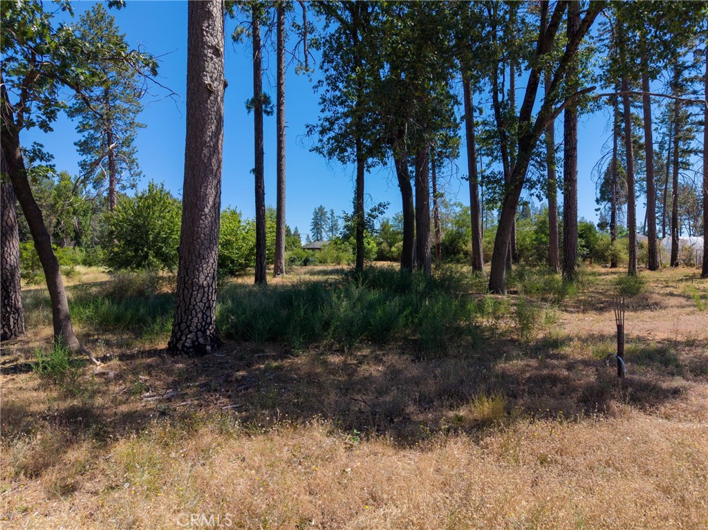 1368 Brill Road Paradise, CA 95969 - Photo 11 of 14