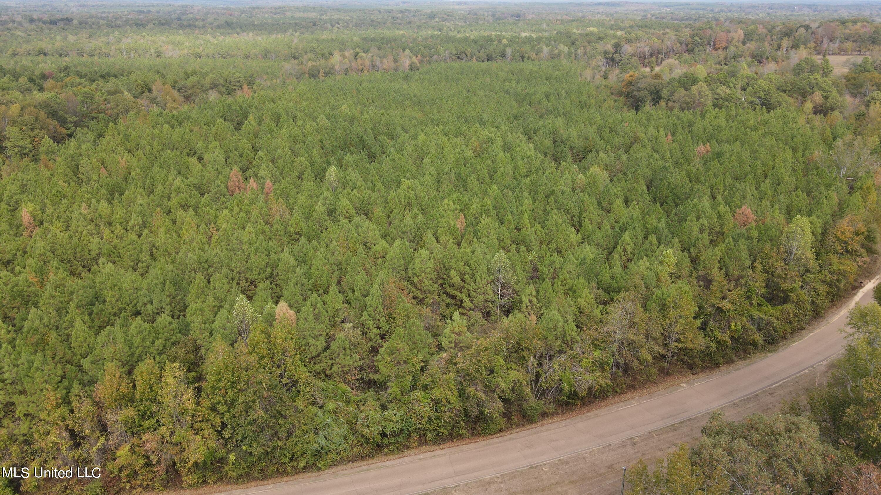 Stegall Road Wesson, MS 39191 - Photo 8 of 56 dji_fly_20231022_120228_524_169799417850