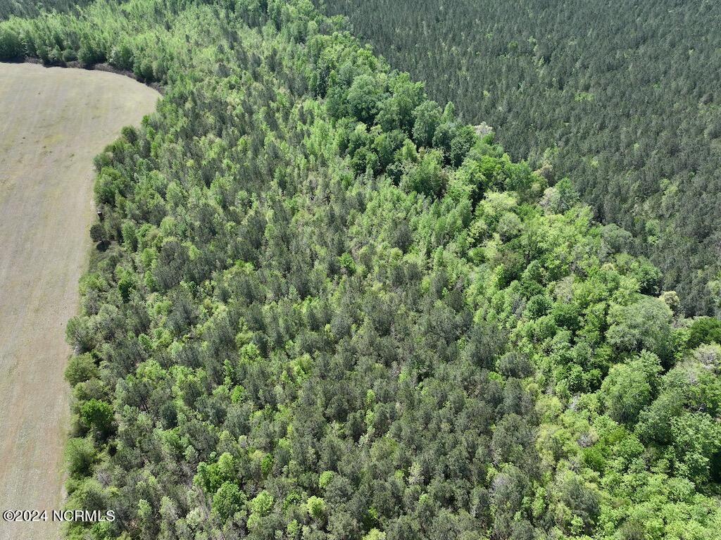 0 Fire Tower Road Jackson, NC 27845 - Photo 22 of 31 23