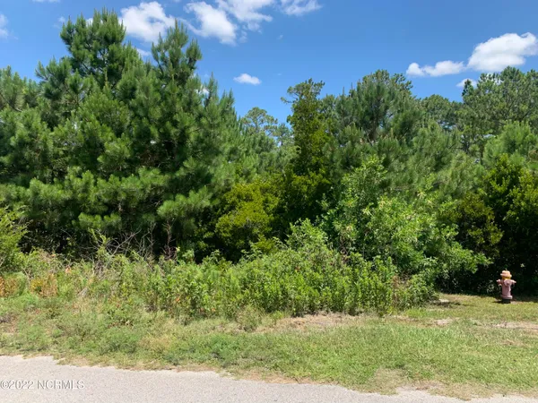 $89,000 | 276 East Ivybridge Drive, Hubert, NC 28539