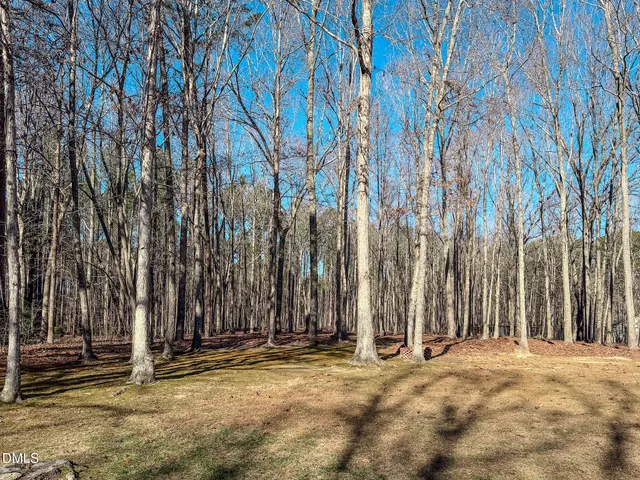 a view of a backyard with large trees