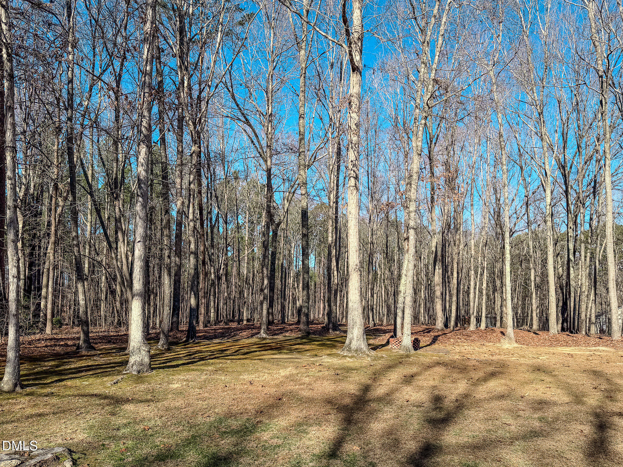 60 Forest Drive Timberlake, NC 27583 - Photo 8 of 40 a view of a backyard with large trees