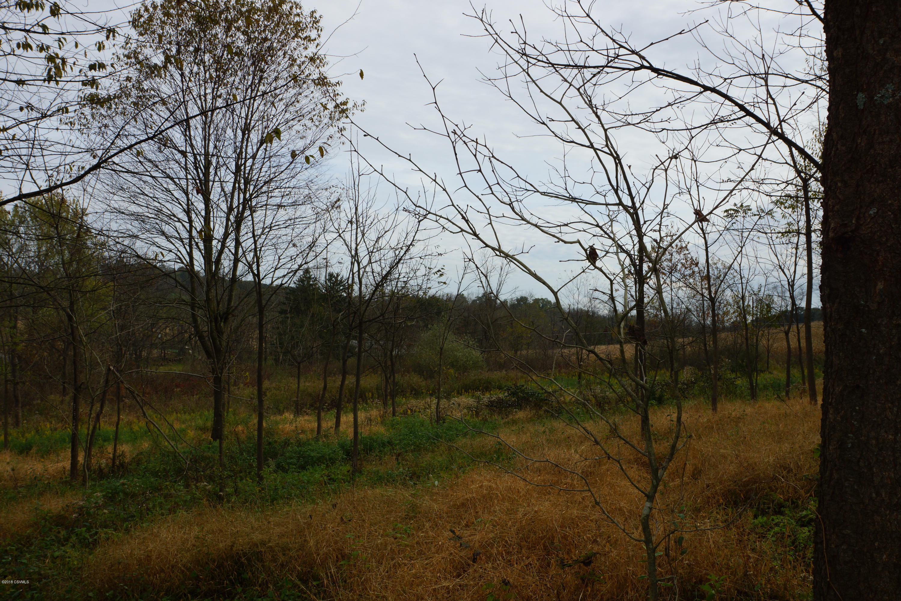 Lot 4 Milroy Road New Columbia, PA 17856 - Photo 19 of 27