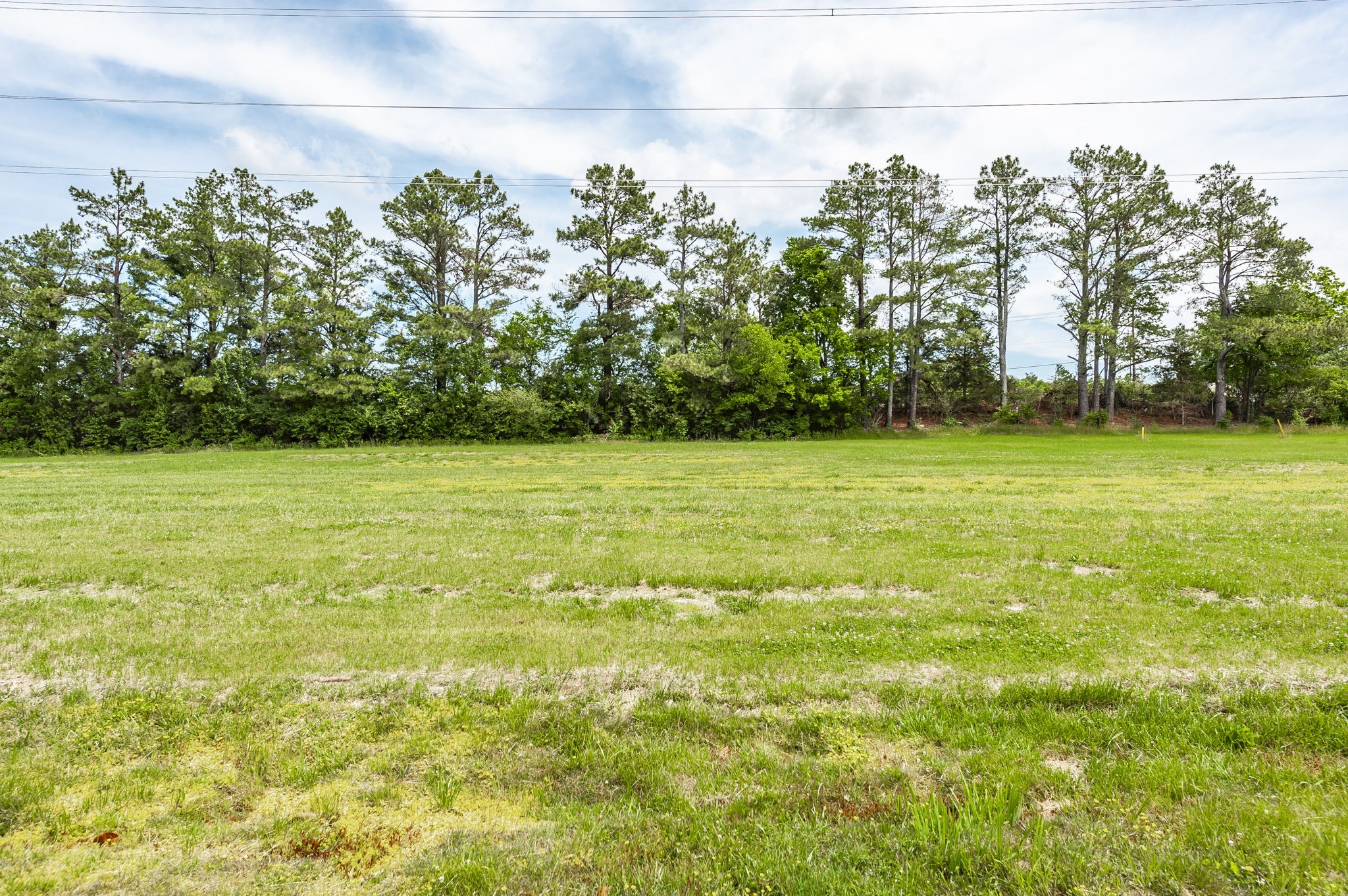 830 General George Patton Road Nashville, TN 37221 - Photo 50 of 50 Gallery Image 50