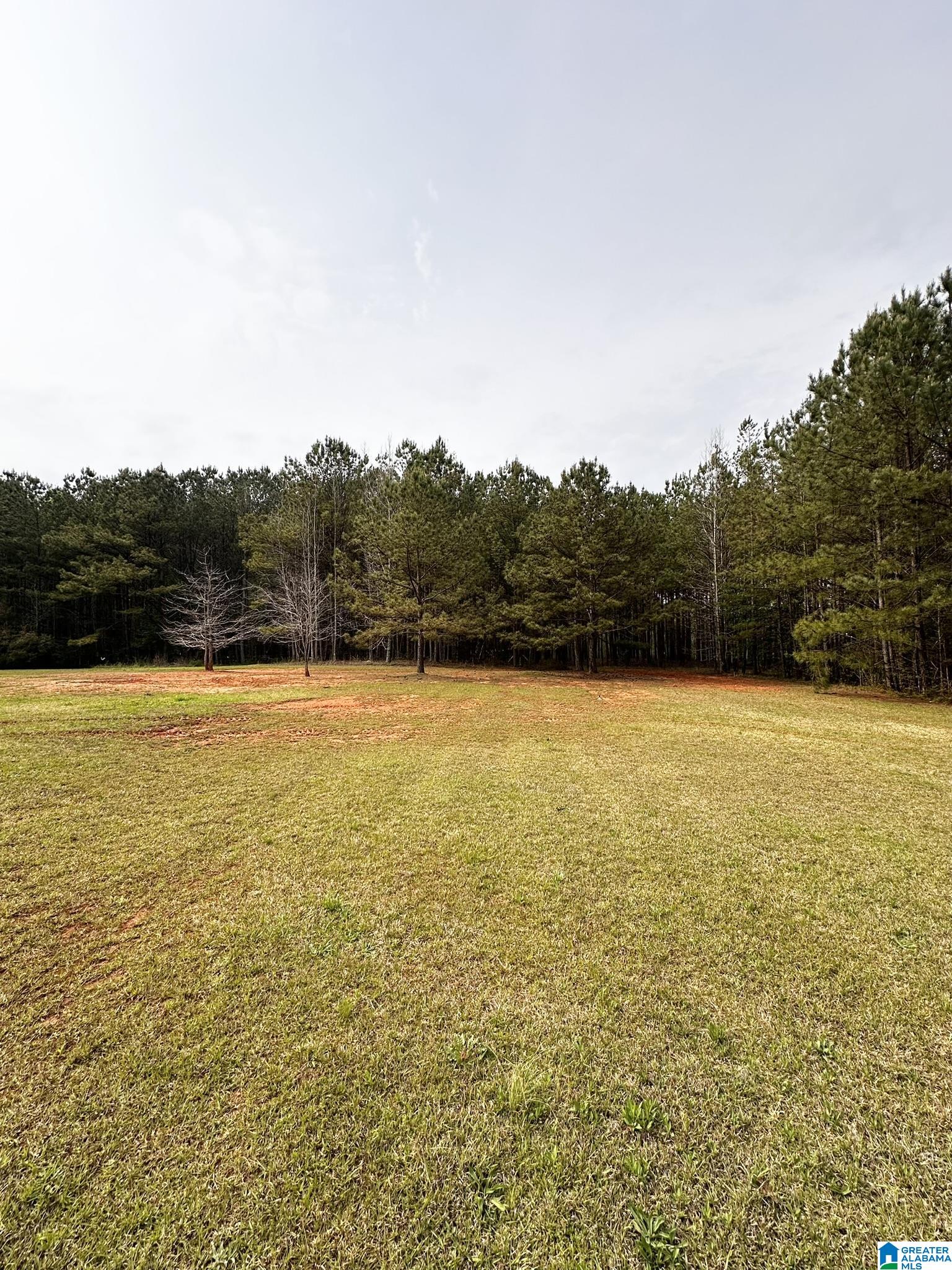 2160 Louina Road Roanoke, AL 36274 - Photo 39 of 45