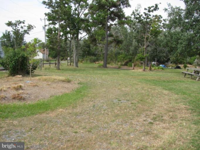 16408 Ball Point Road Piney Point, MD 20674 - Photo 15 of 16 Wooded View / Acreage