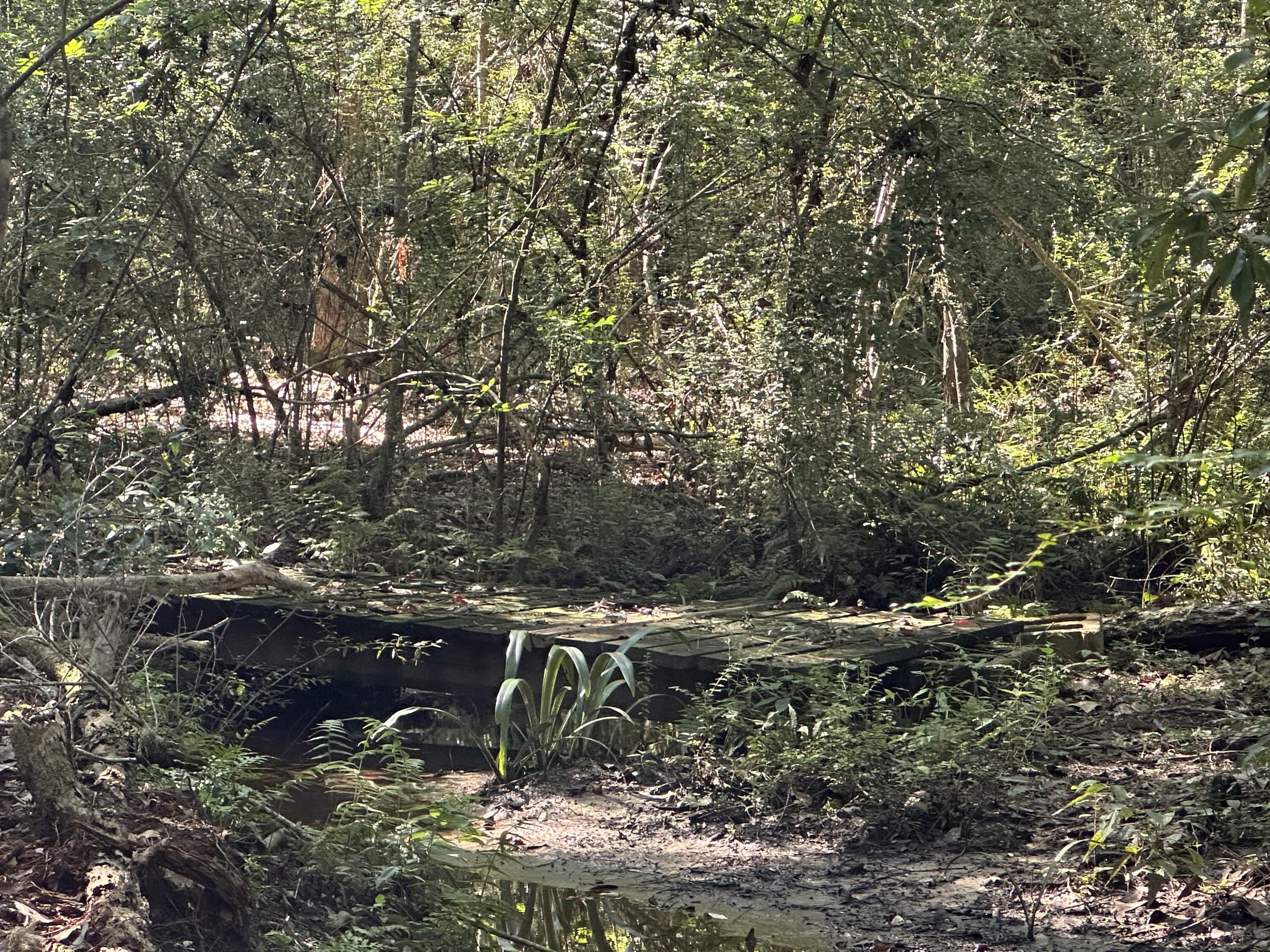 1875 Hathaway Johnson Road Baker, FL 32531 - Photo 35 of 40