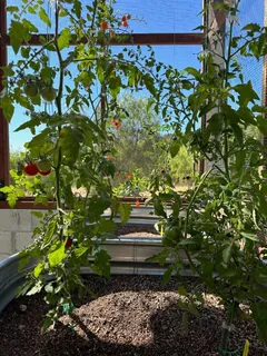 a view of entryway with garden space