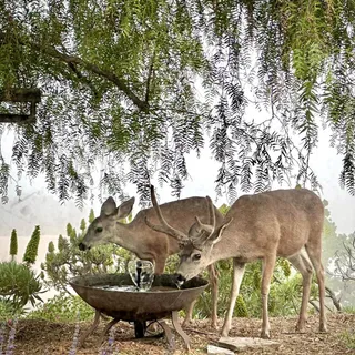 a view of an ocean and a mountain