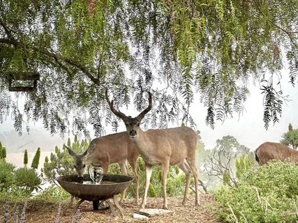 a view of a mountain