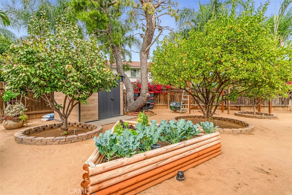 5056 Windhill Drive Riverside, CA 92507 - Photo 15 of 66 a view of a yard with plants and trees