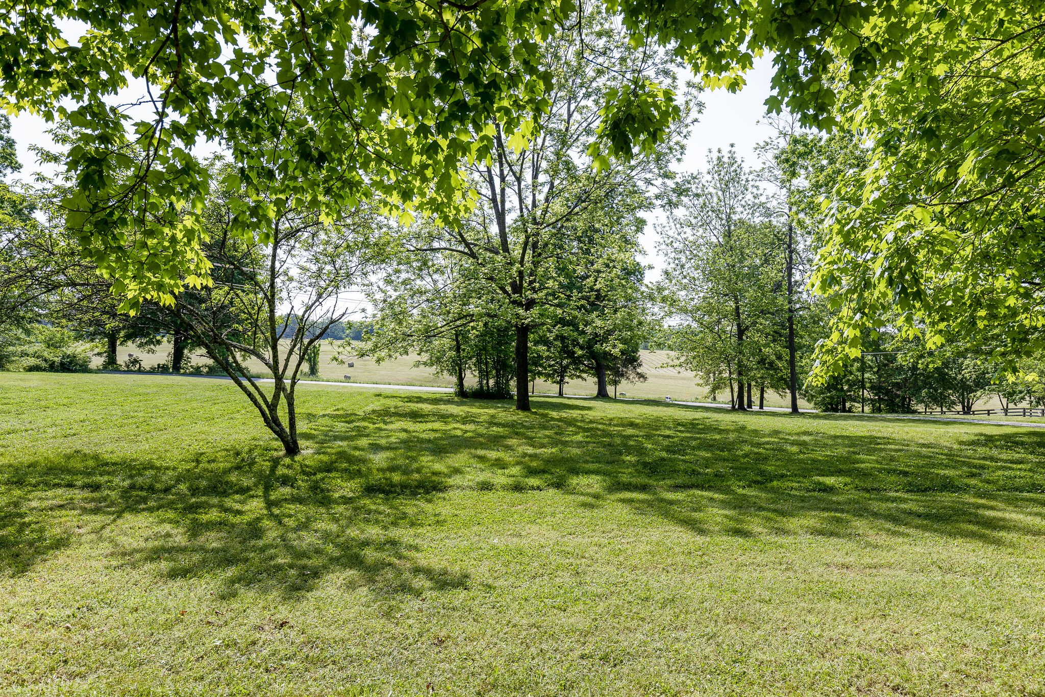 7338 Spencer Mill Road Fairview, TN 37062 - Photo 46 of 67 Gallery Image 46