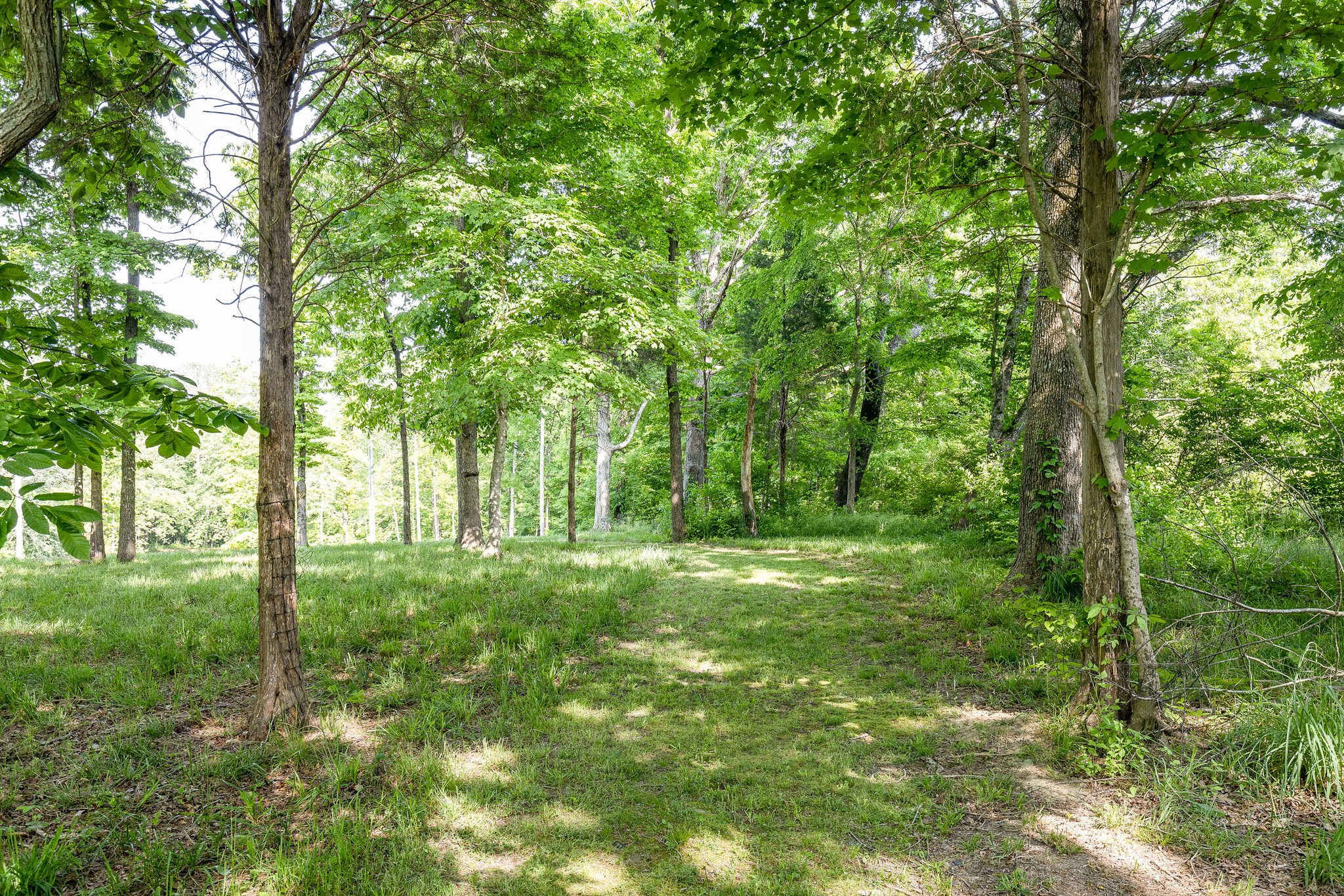 7338 Spencer Mill Road Fairview, TN 37062 - Photo 48 of 67 Gallery Image 48