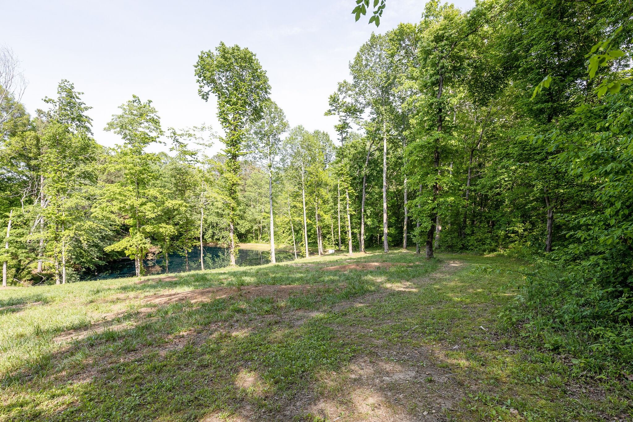 7338 Spencer Mill Road Fairview, TN 37062 - Photo 49 of 67 Gallery Image 49