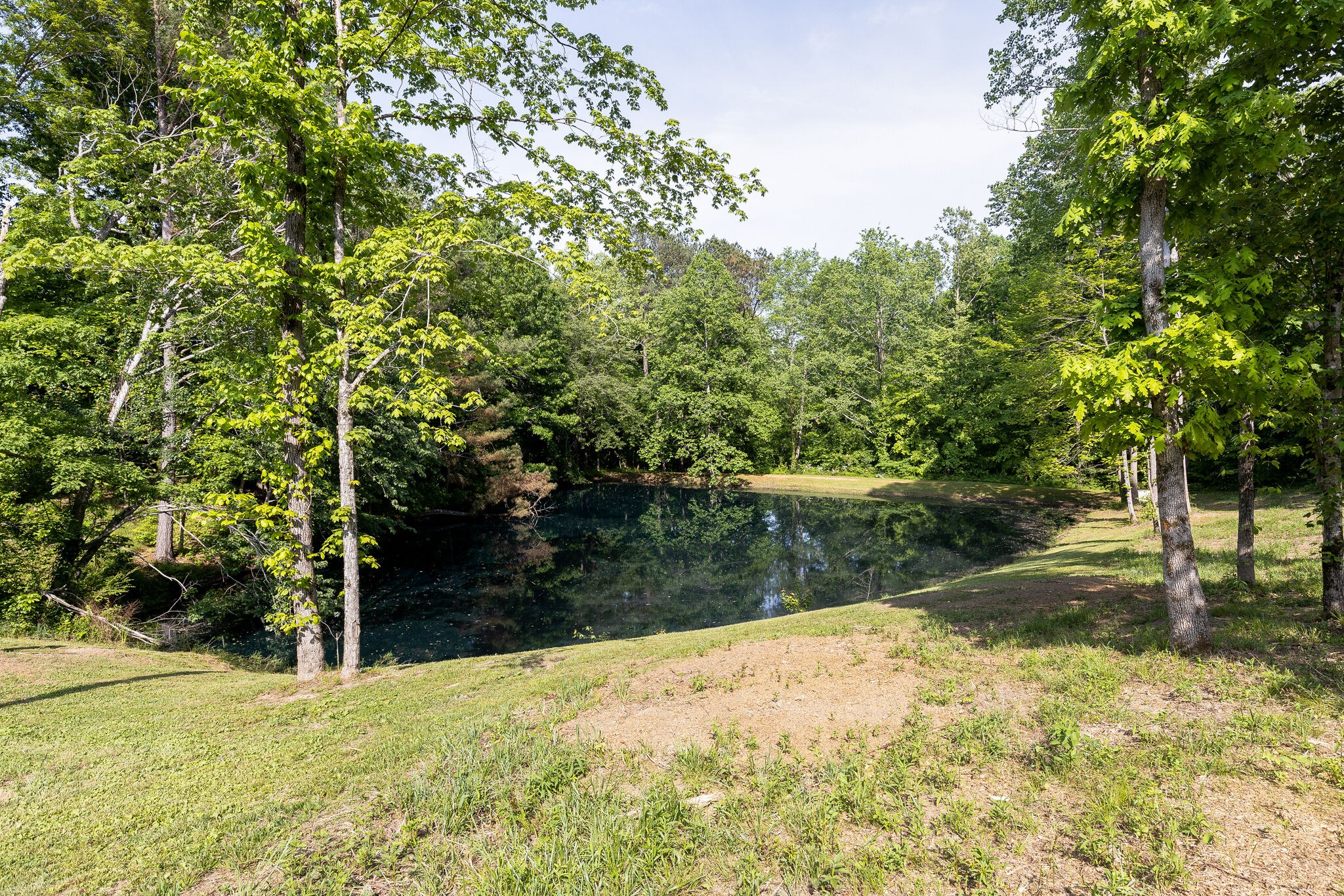 7338 Spencer Mill Road Fairview, TN 37062 - Photo 50 of 67 Gallery Image 50
