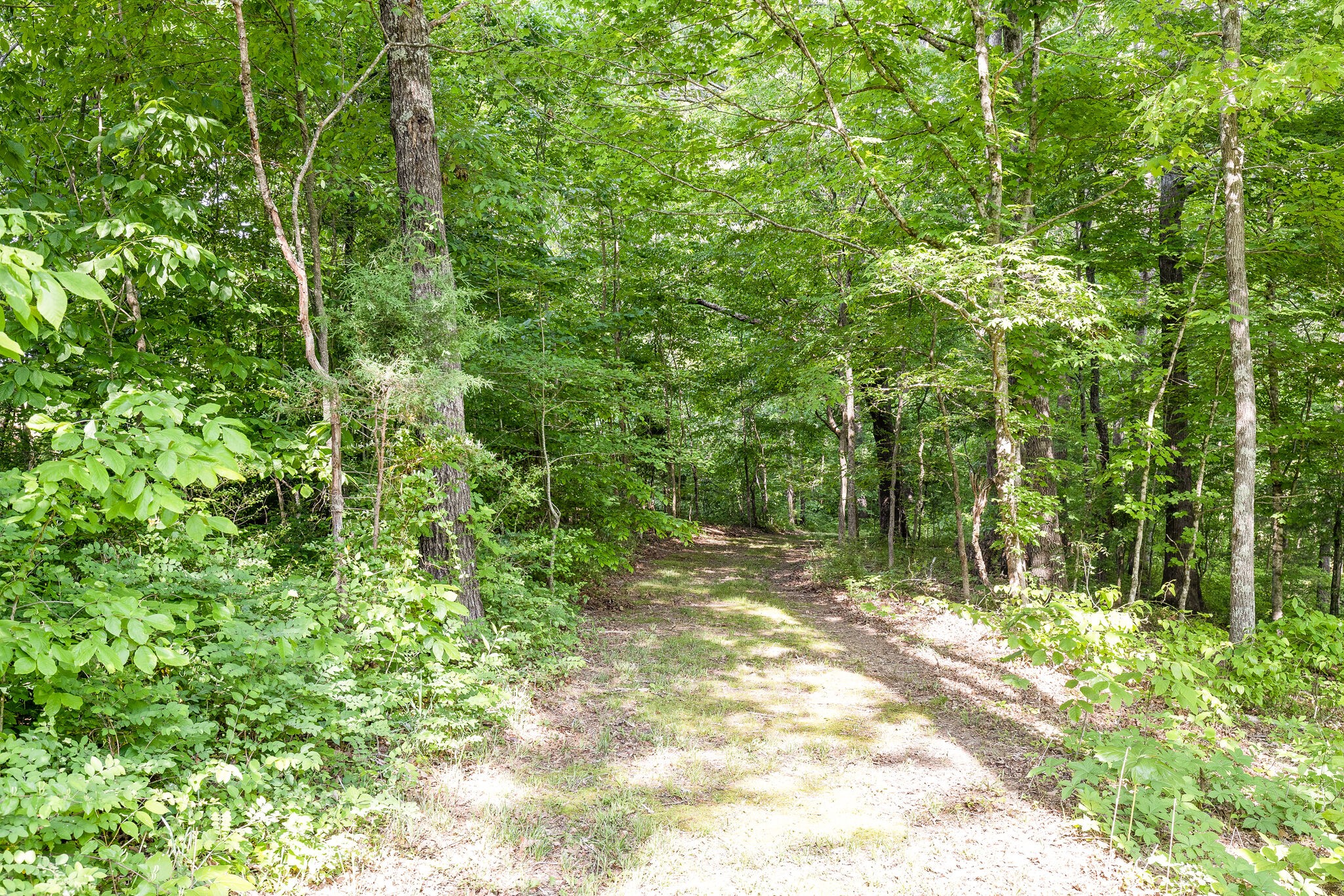 7338 Spencer Mill Road Fairview, TN 37062 - Photo 51 of 67 Gallery Image 51