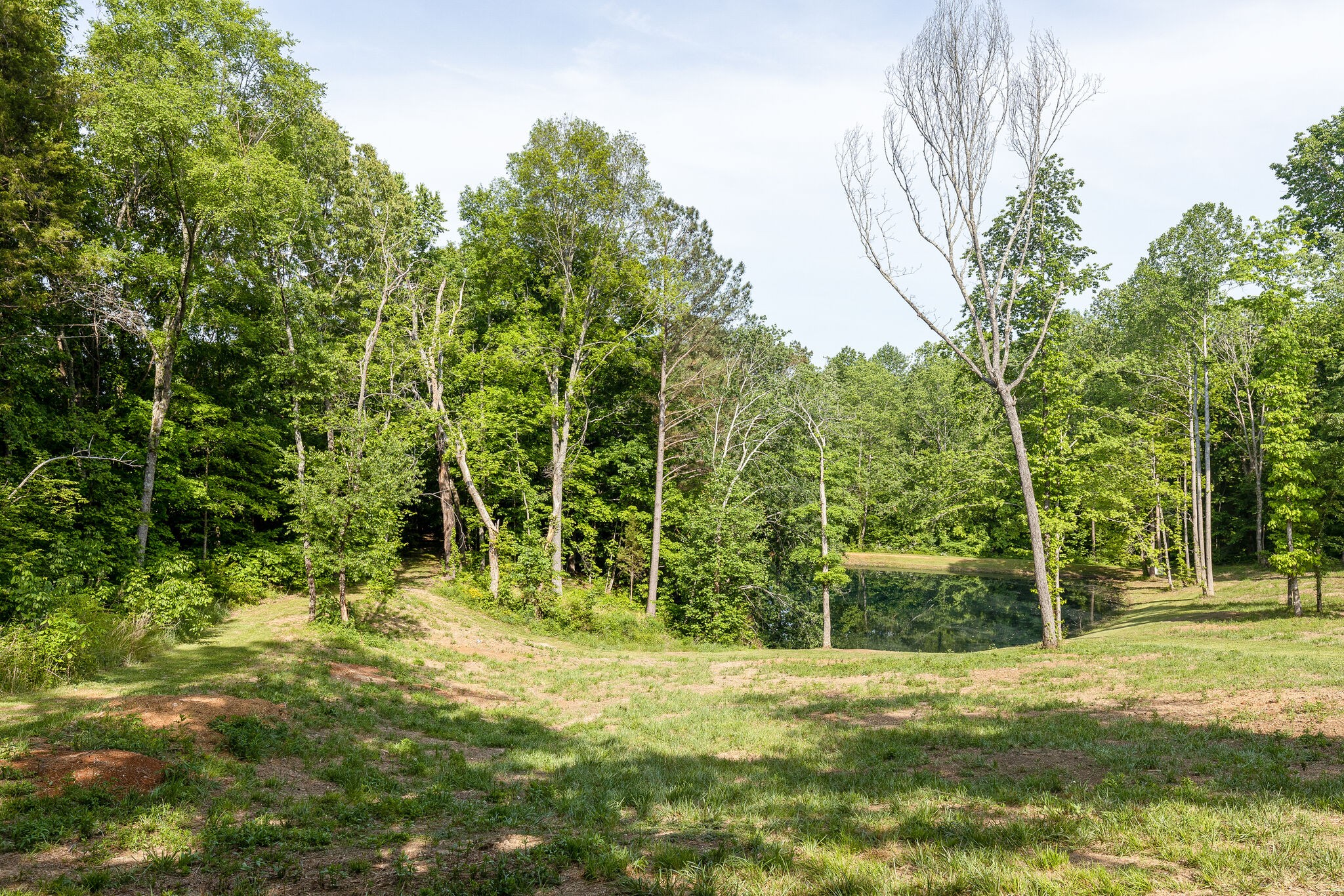 7338 Spencer Mill Road Fairview, TN 37062 - Photo 52 of 67 Gallery Image 52
