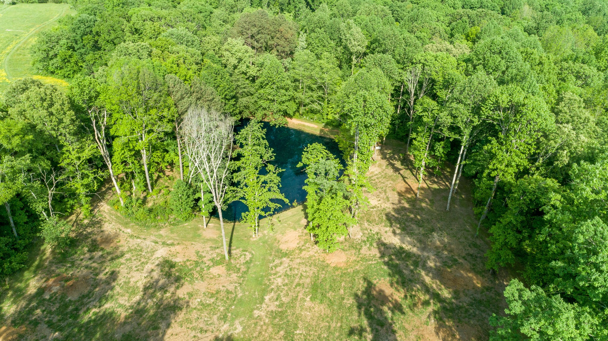 7338 Spencer Mill Road Fairview, TN 37062 - Photo 55 of 67 Gallery Image 55