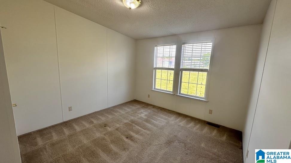 58 Robanna Circle Ohatchee, AL 36271 - Photo 21 of 39