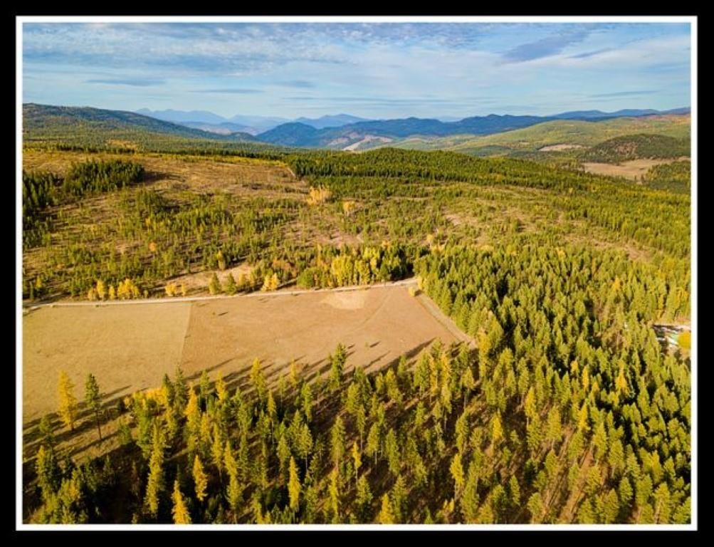 1973 Flora Road Colville, WA 99114 - Photo 3 of 45