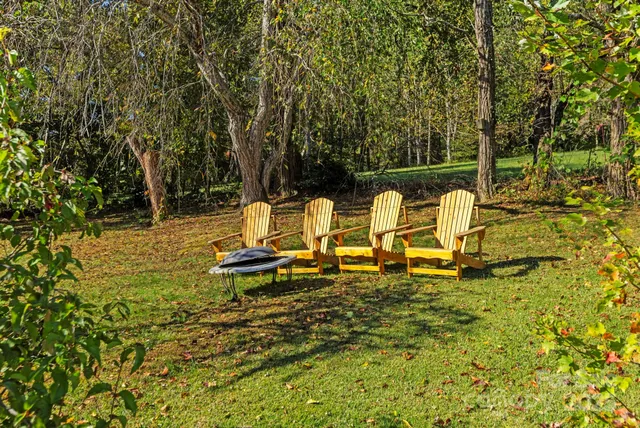 a view of a yard with a tree