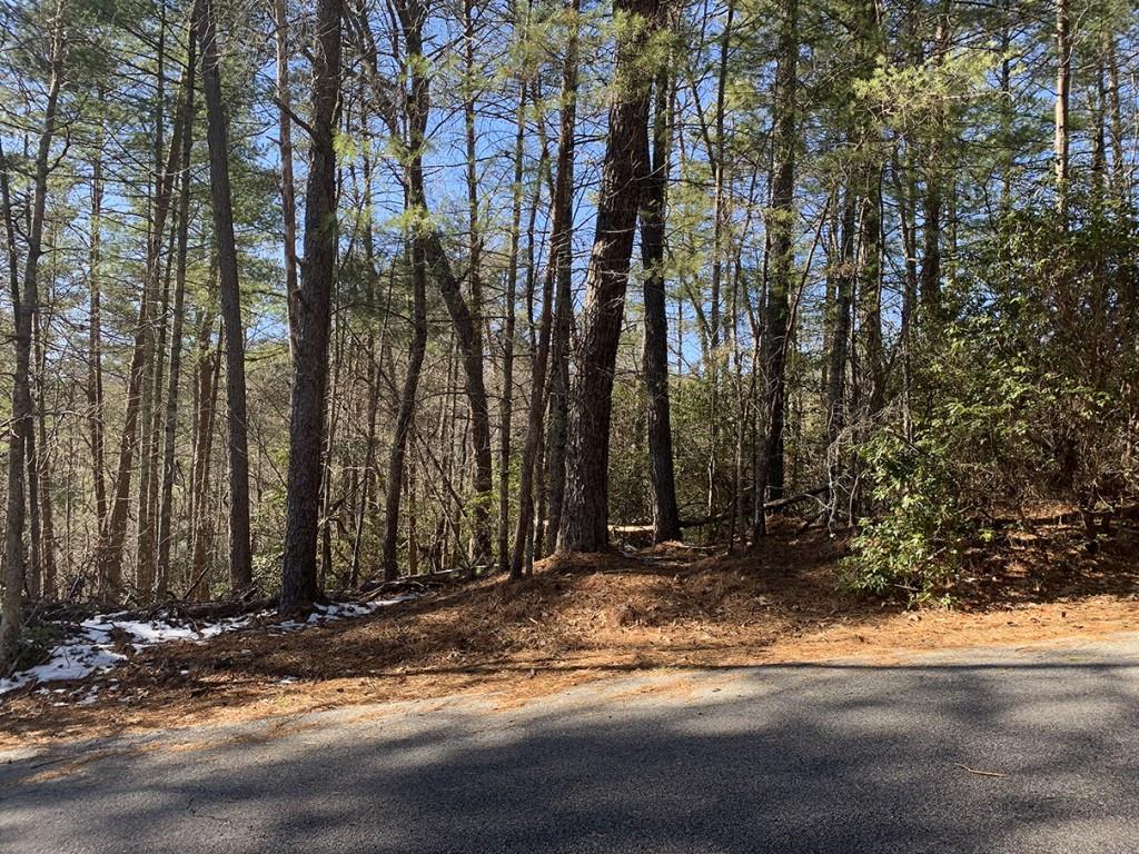0 Pinecrest Road Sautee Nacoochee, GA 30571 - Photo 3 of 13 a view of street along with trees