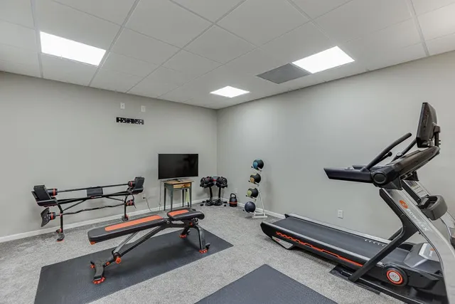 a view of a yard with a tree