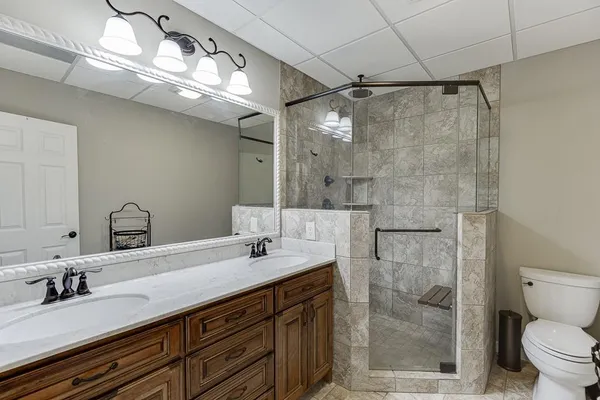 a view of a yard with a tree